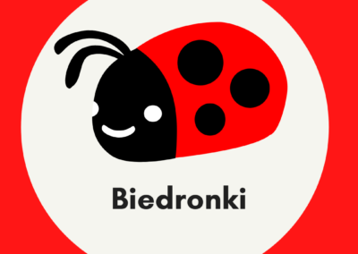 Obrazek przedstawia biedronkę znajdującą się na tle szarego koła a to umiejscowione jest na czerwonym tle.